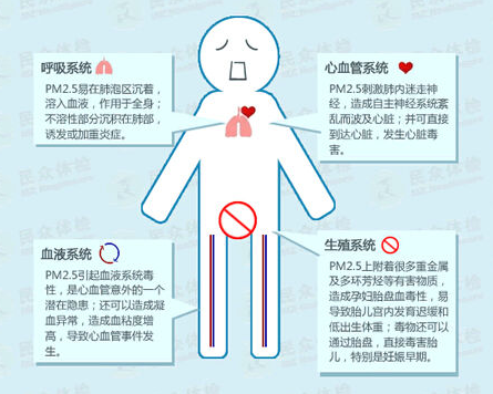 雾霾对人体的危害